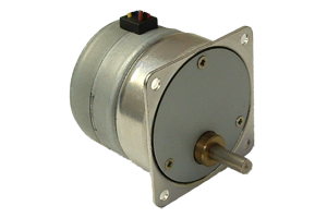 Permanent Magnet (PM) Stepper Motors with Spur Gearboxes - TGM42